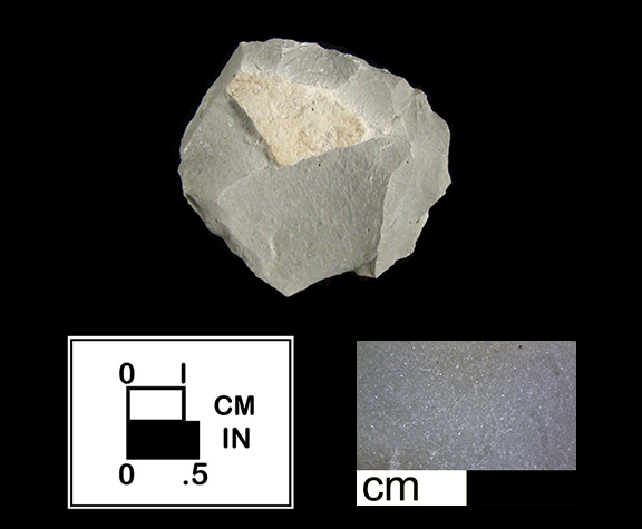 Silicified Siltstone, Accomack County, VA.